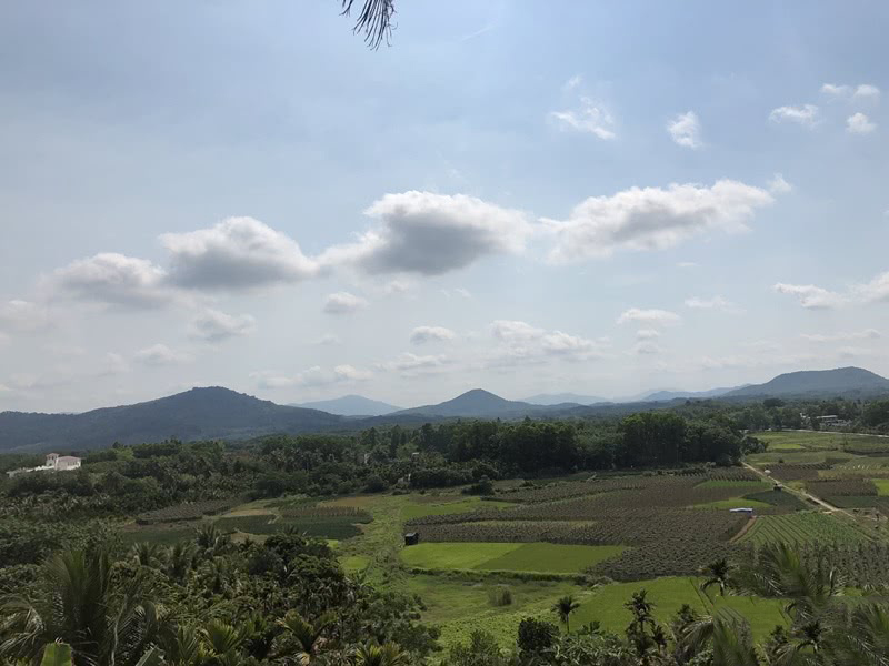 实景图3