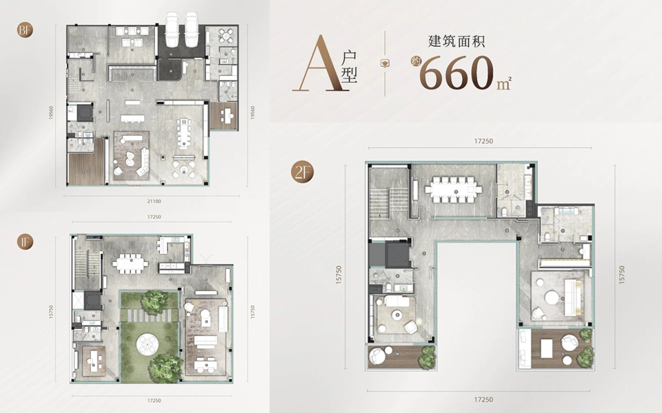 A户型