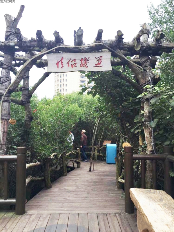 富力红树湾配套图14