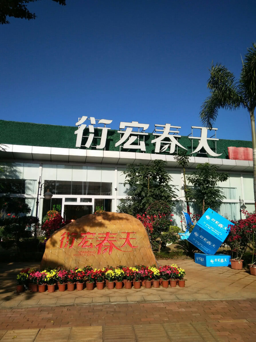衍宏春天实景图1