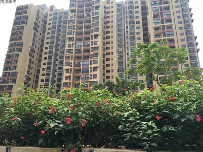 南海阳光实景图 1
