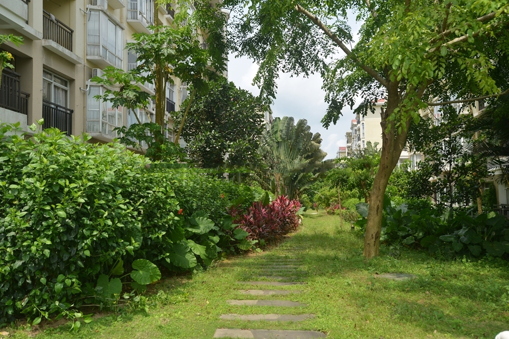 社区绿化实景1