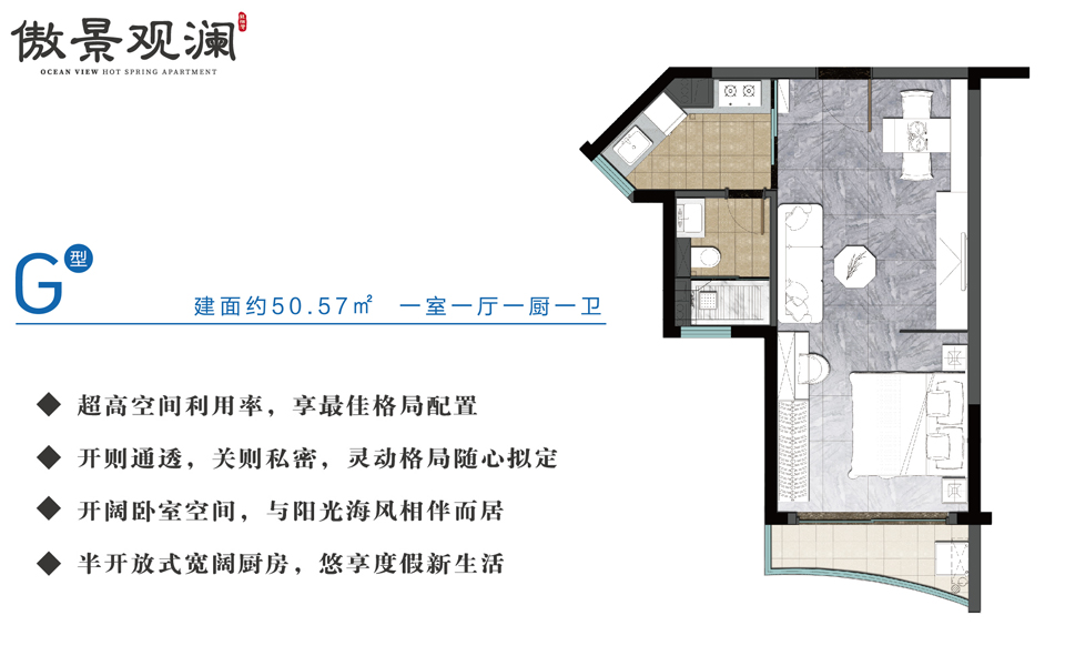 傲景观澜G户型 一室一厅一厨一卫 
