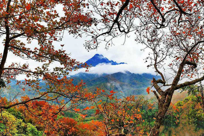 五指山 美景