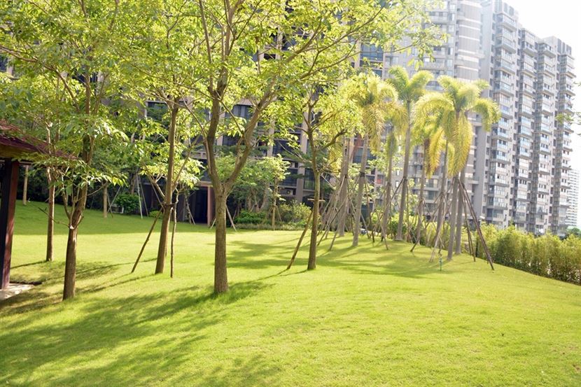 小区园林实景图