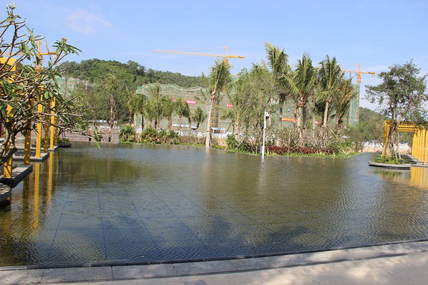 小区绿化4