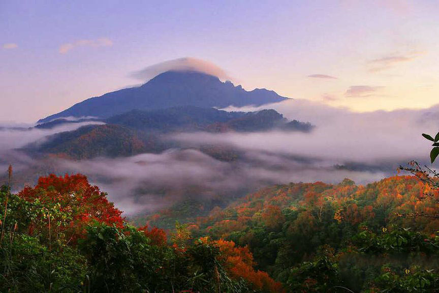 五指山风景zs