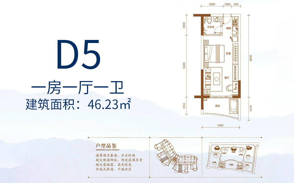 D5户型 一房一厅一卫