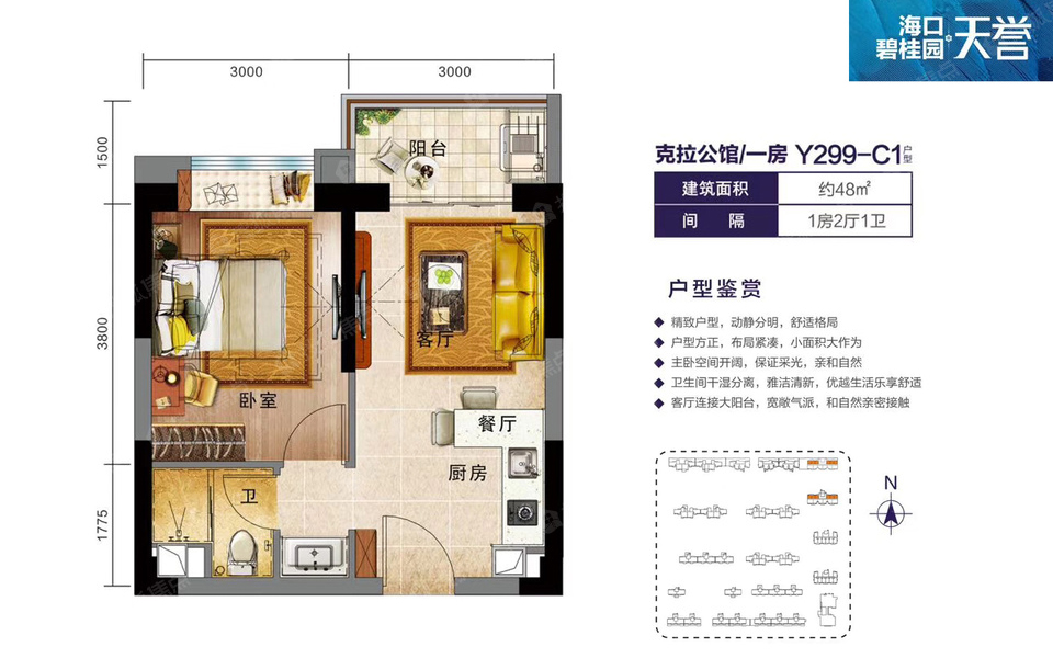 Y299-C1户型 建筑面积约48平-1室2厅1卫