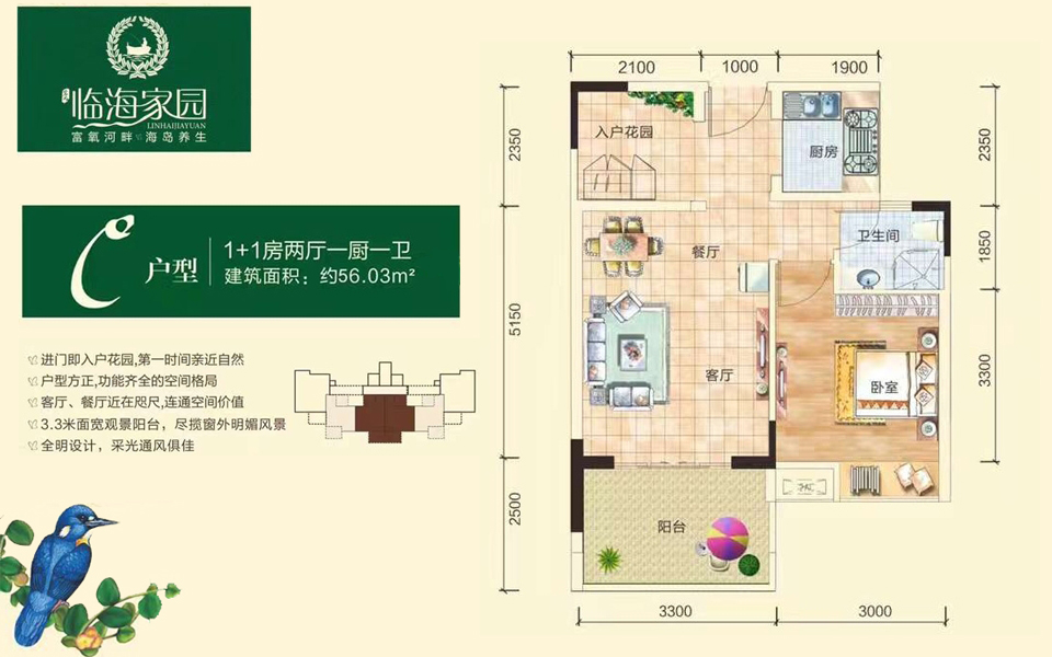 C户型 1+1房2厅1厨1卫