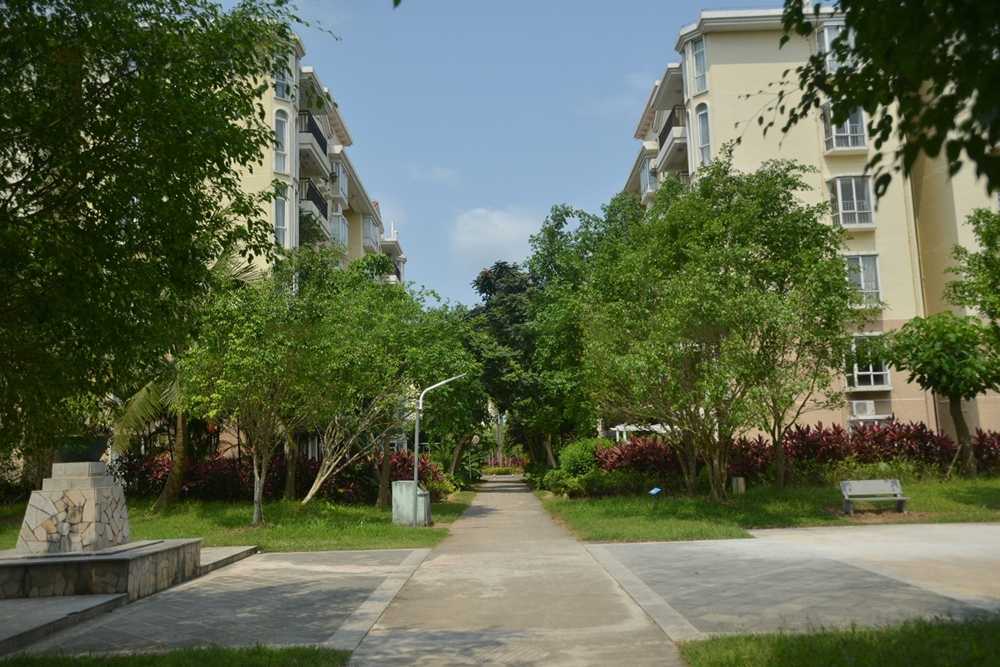社区园林实景2