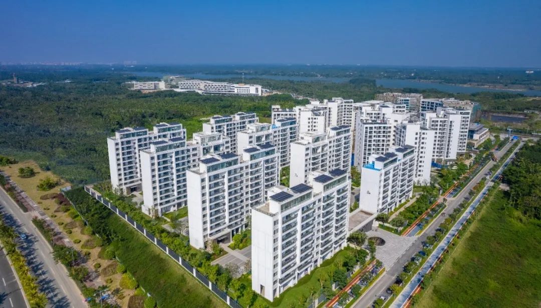 实景图4