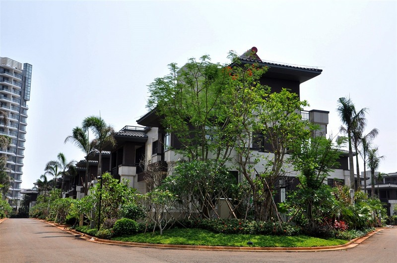 大华锦绣海岸实景图04