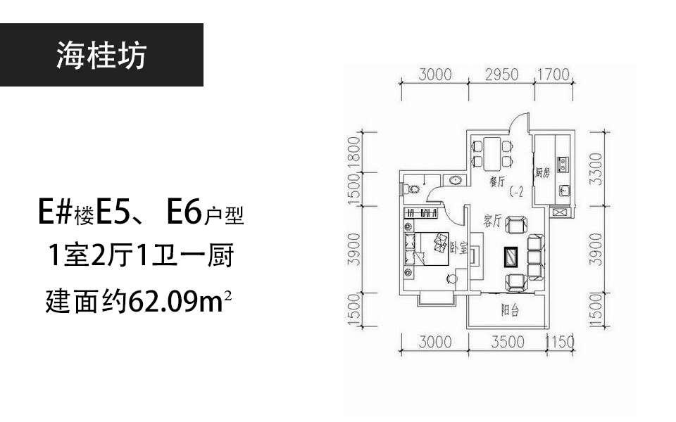 E#E5、E6户型 1室2厅1卫0厨建面 62.09㎡