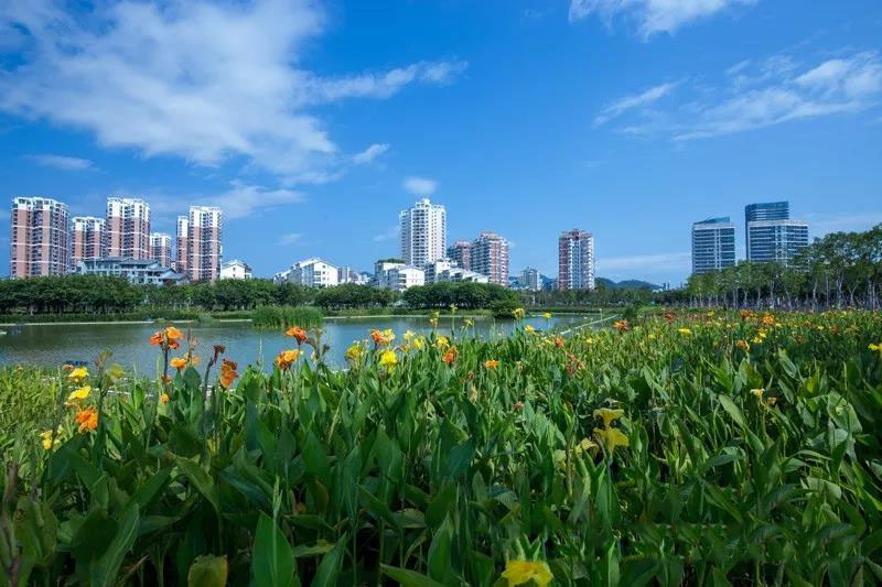 实景图2
