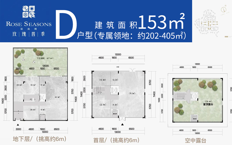 D型商业