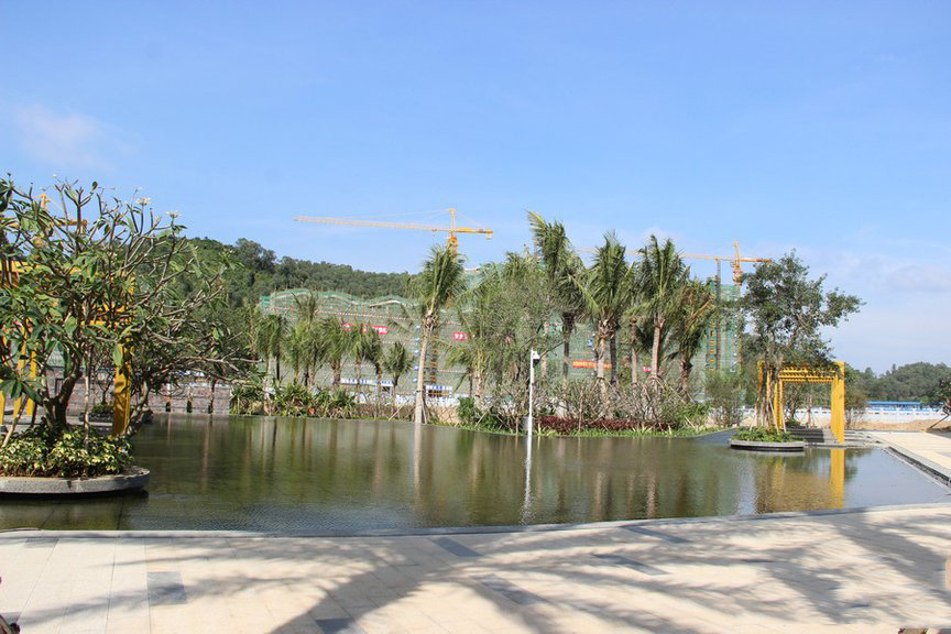 小区绿化6
