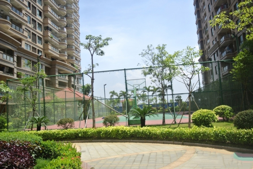 实景图8