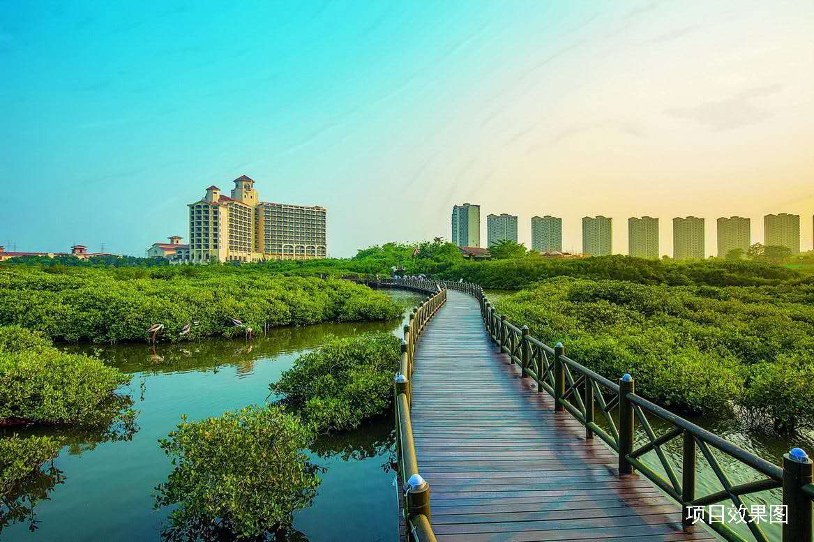 效果图7