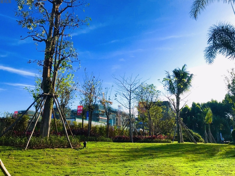 实景图4