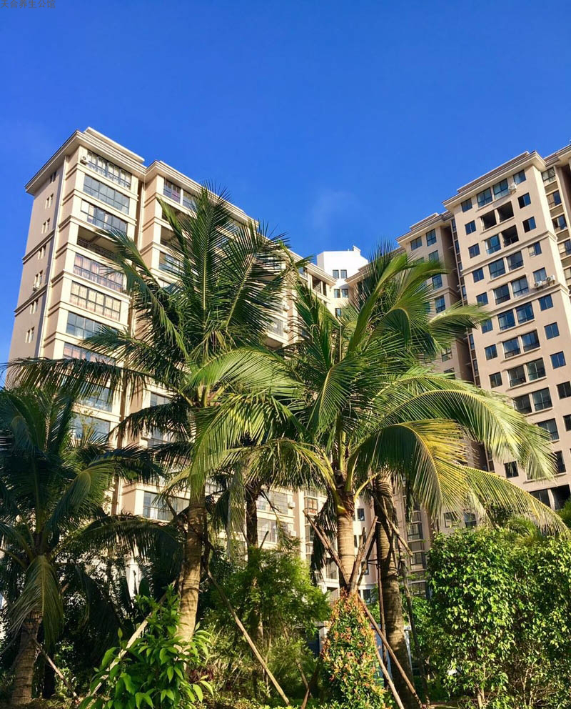 实景图14