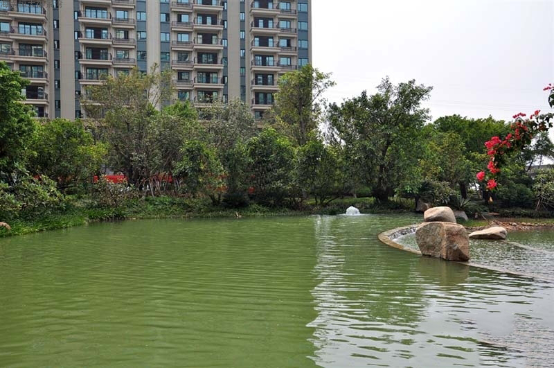 海南恒大御景湾实景图04