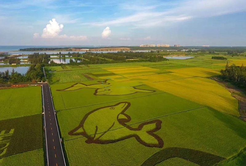 富力悦海湾实景图08