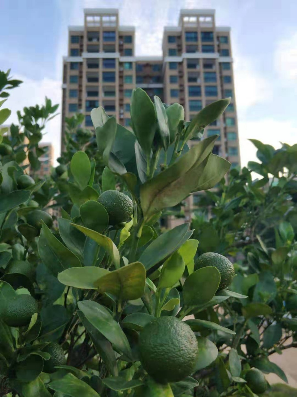 实景图-社区外立面