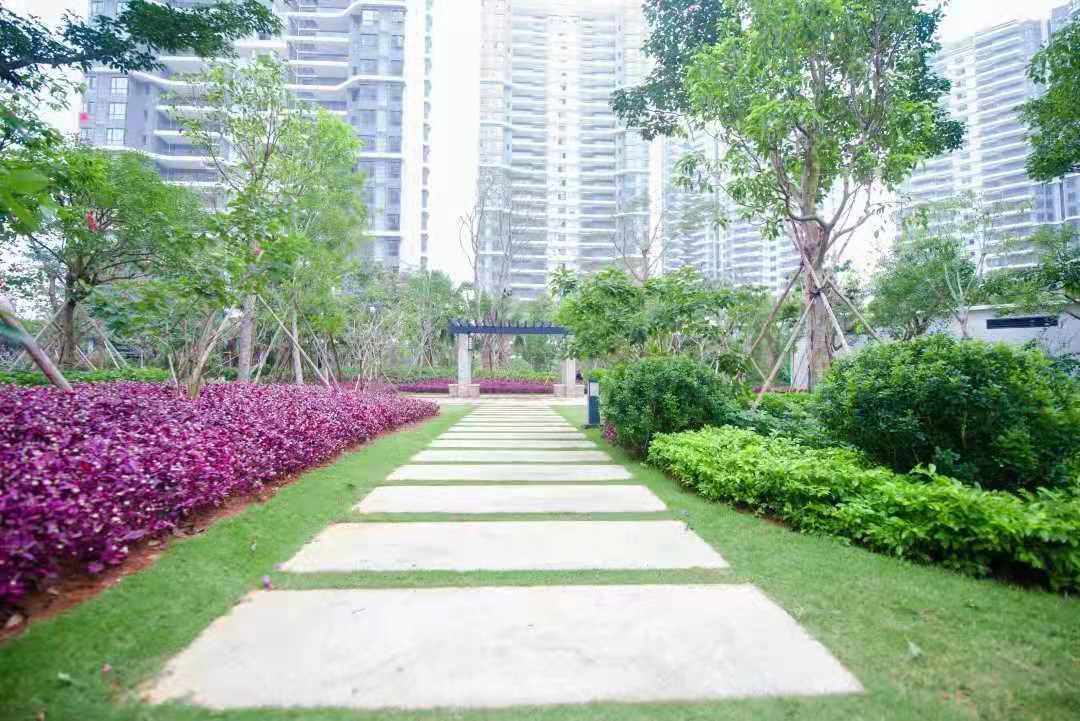 一期实景图3