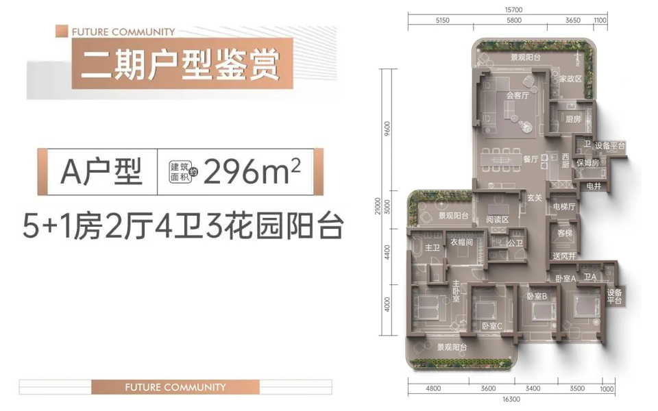 二期A户型 5+1房2厅4卫