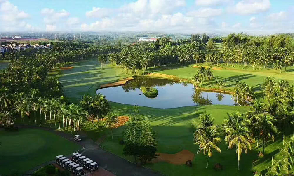 实景图6