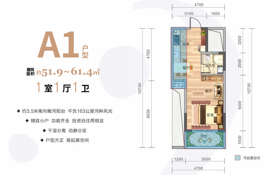 A1户型 1房1厅1卫