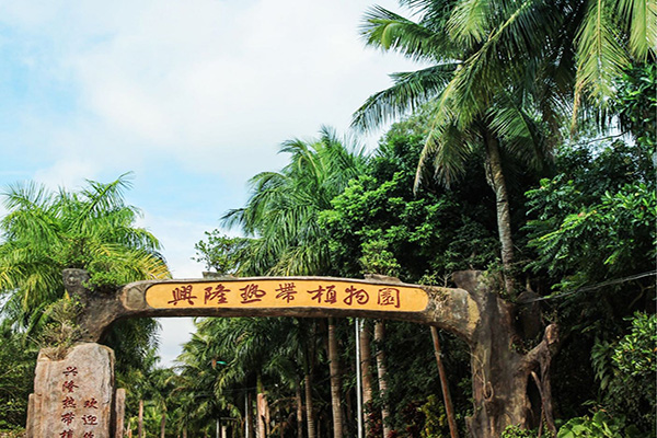 配套图1