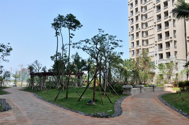 滨海新天地实景图11