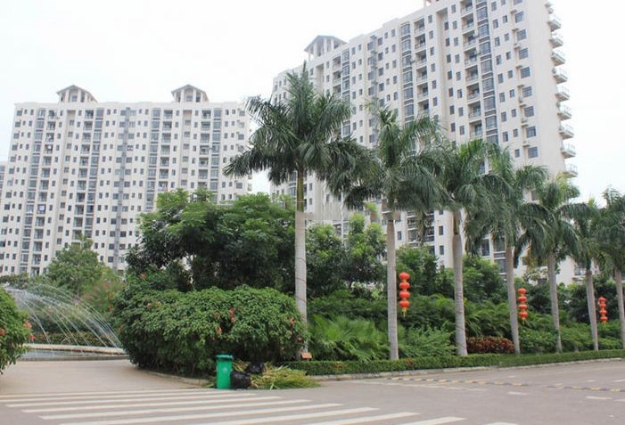 园林景观t