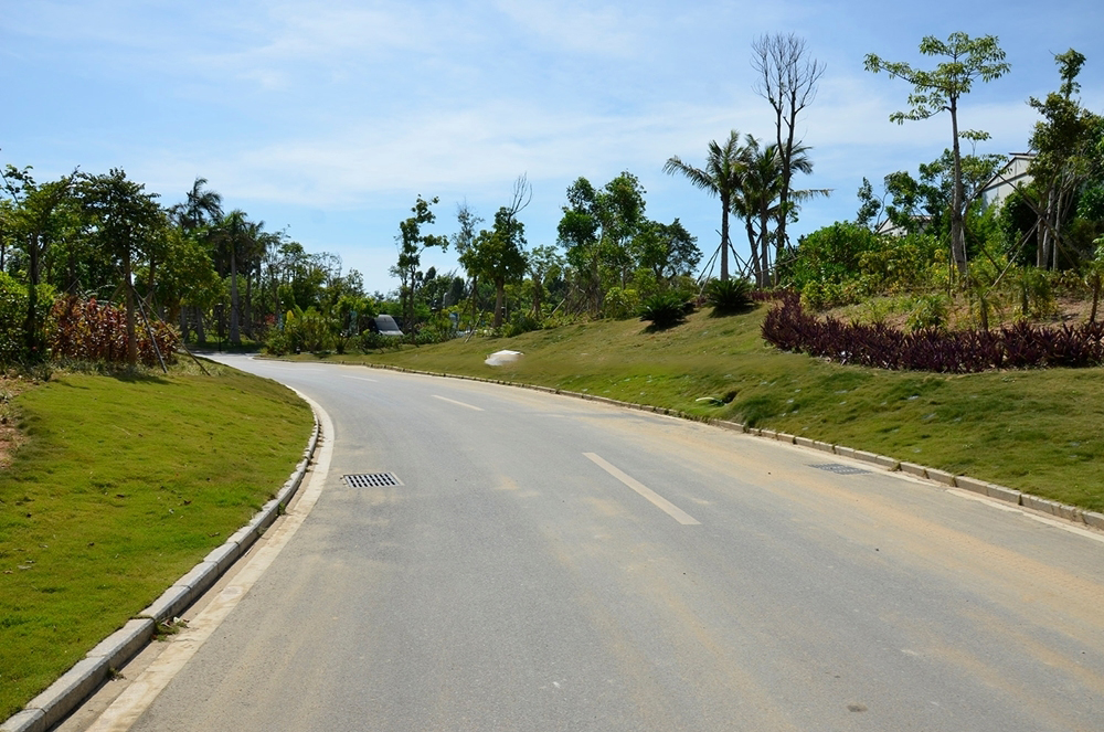 社区道路