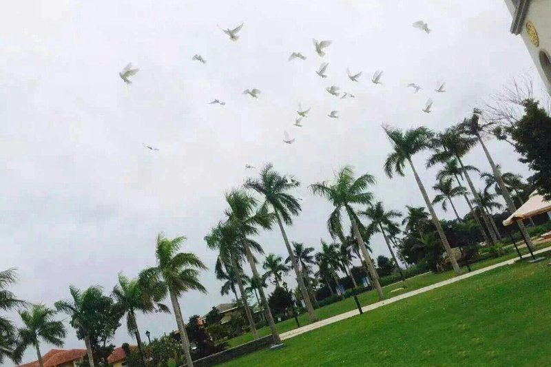 实景图sw