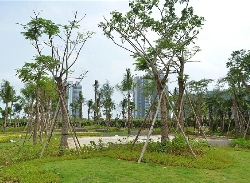 博鳌金湾实景图05
