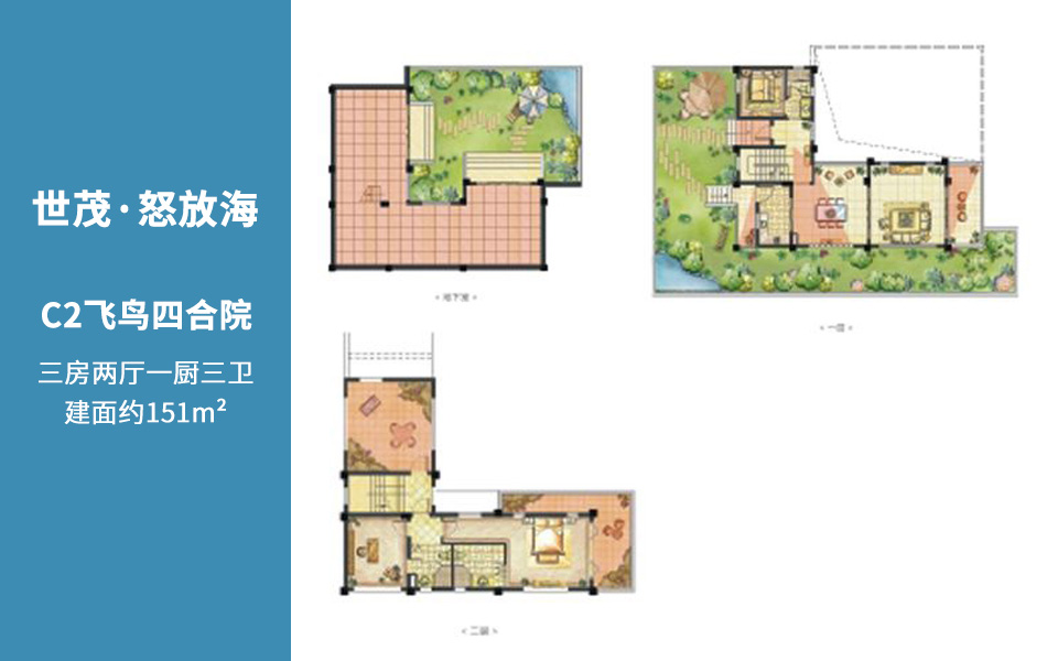 C2飞鸟四合院户型图3室151㎡