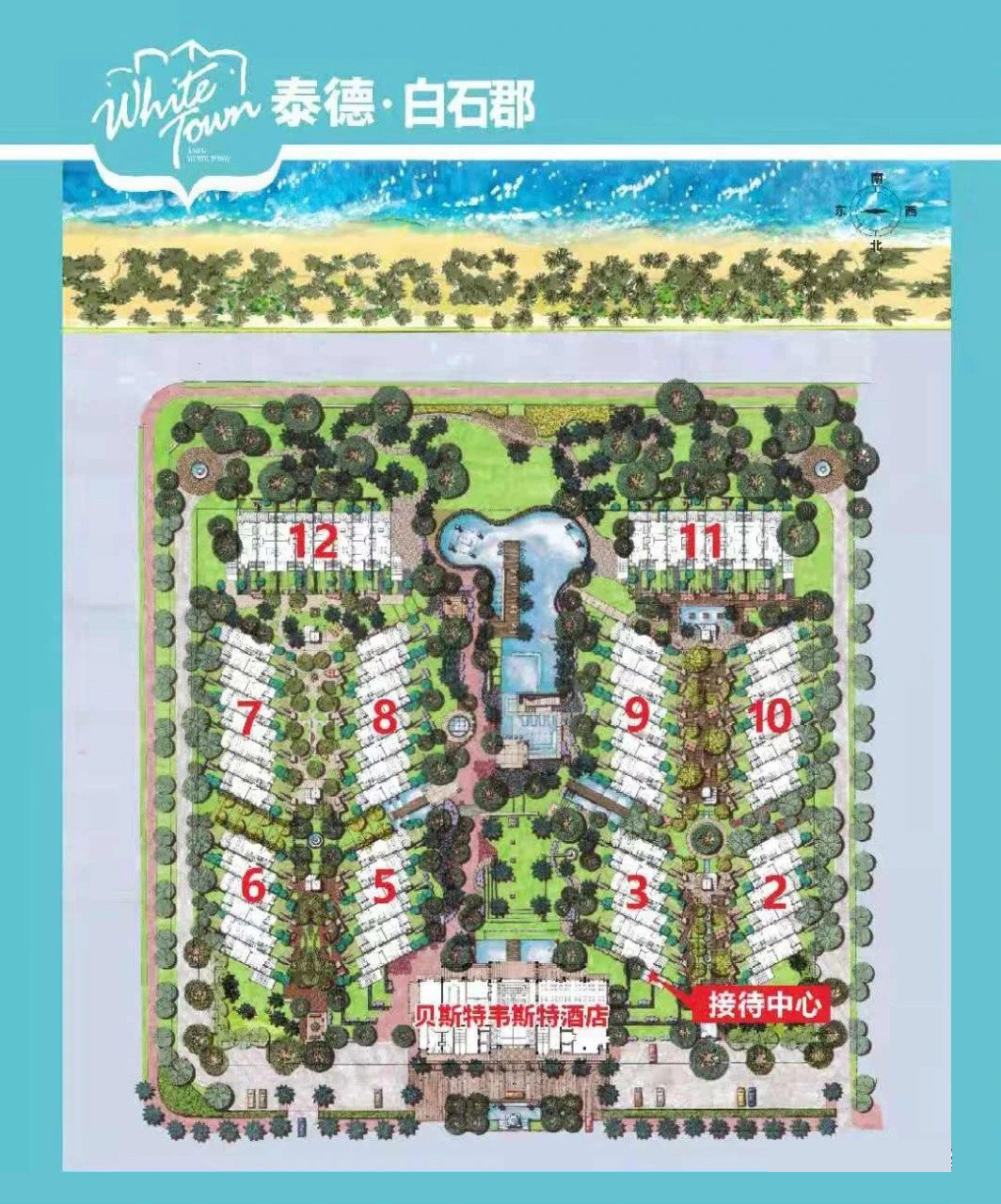 泰德白石郡