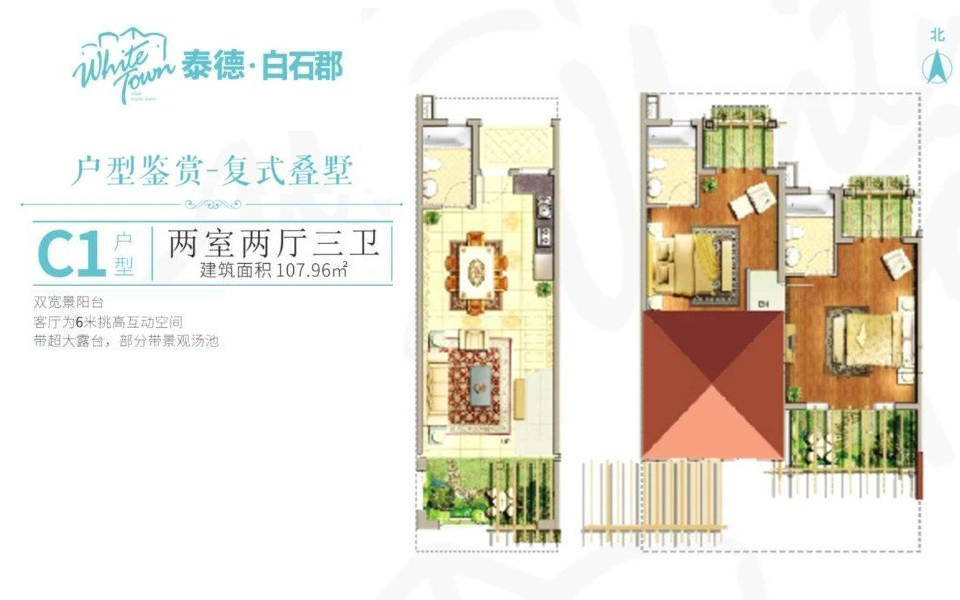 C1户型 2房2厅3卫