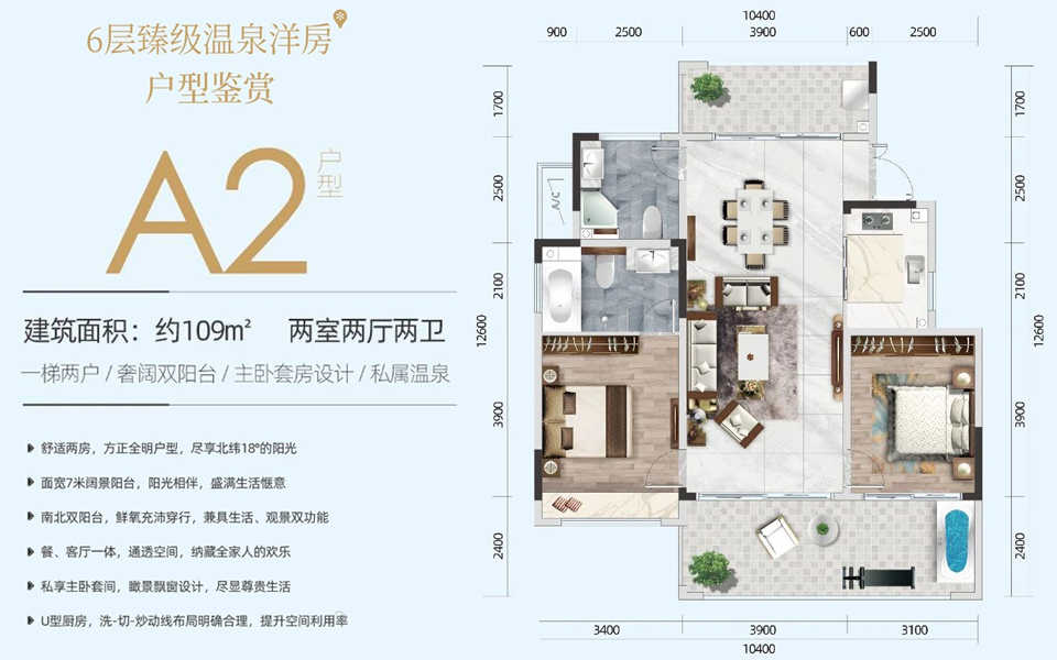 A2户型2房2厅2卫