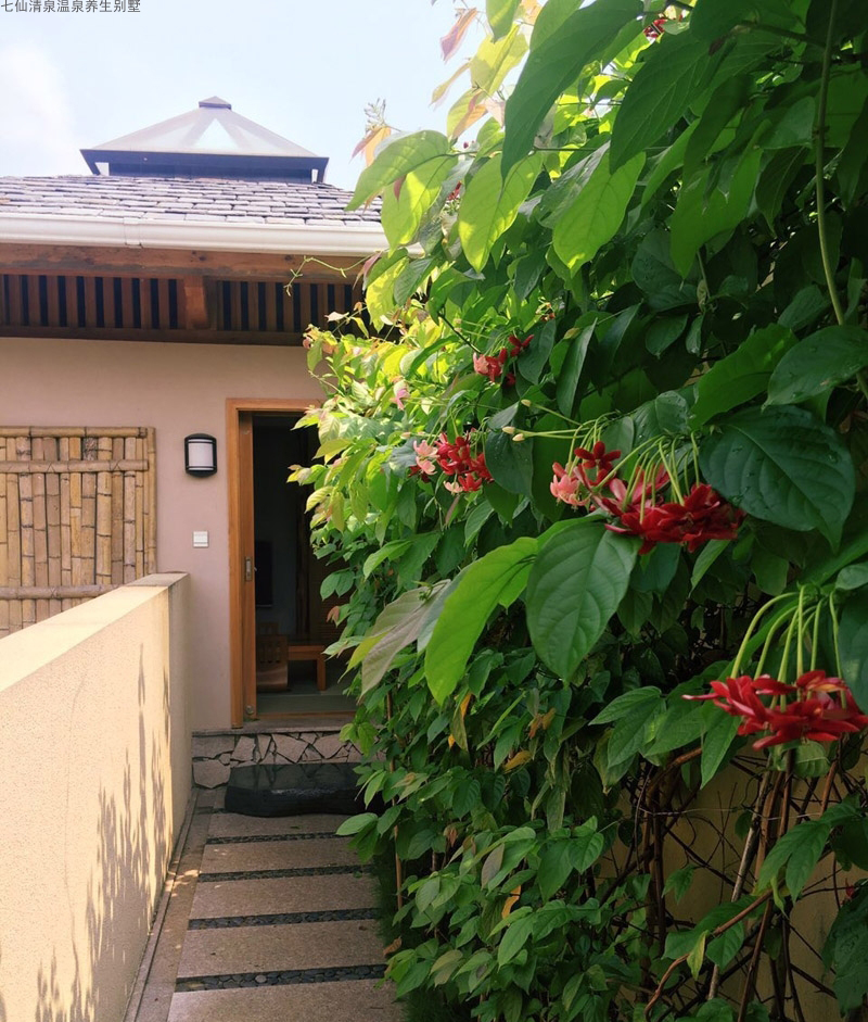 实景图16