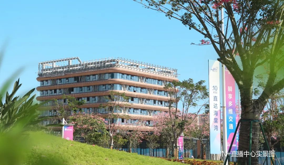 实景图