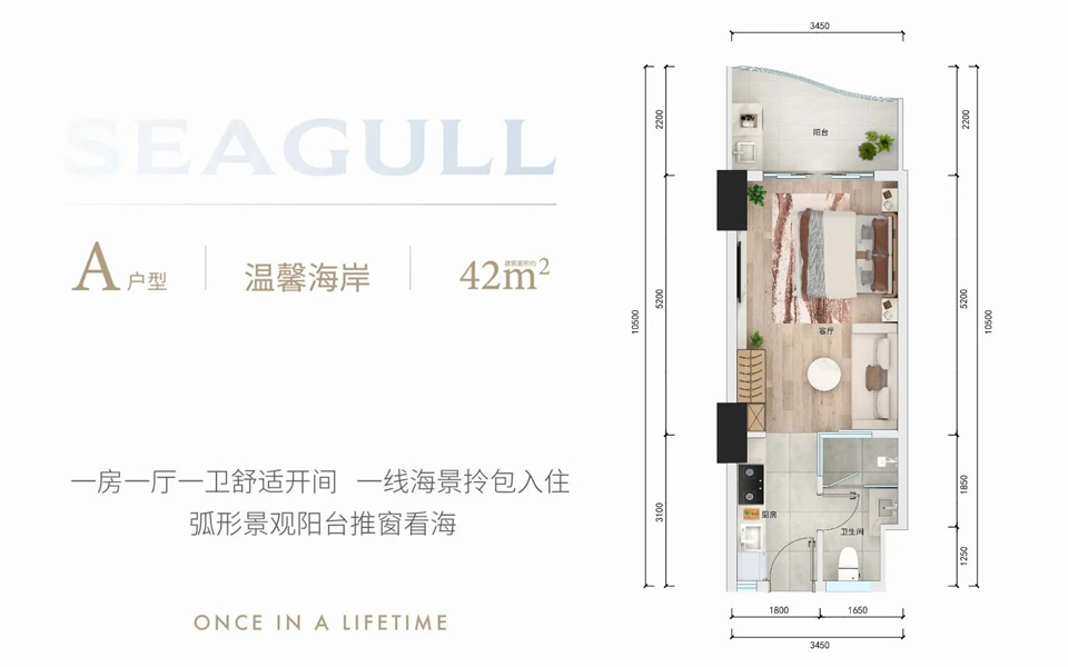 A户型 开间