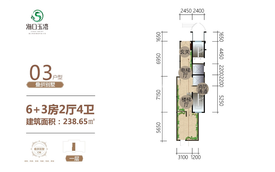 叠拼别墅 03户型6+3房2厅4卫238.65㎡一层