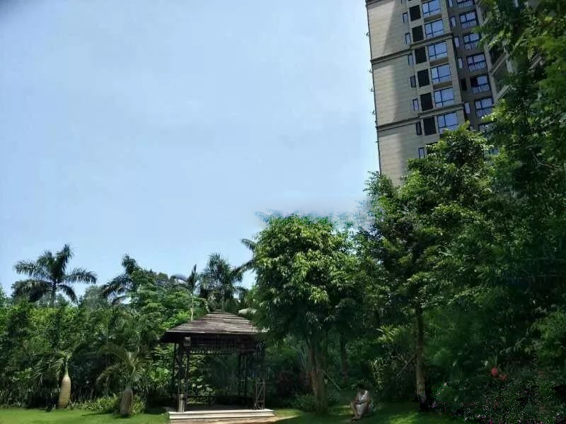 实景图