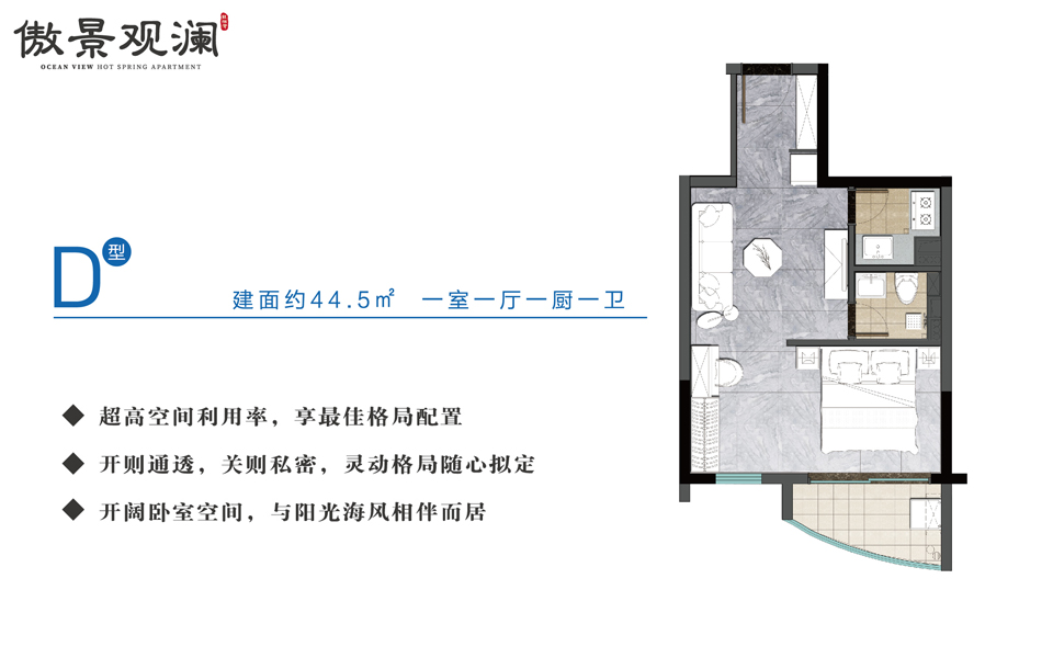 傲景观澜D户型 一室一厅一厨一卫 