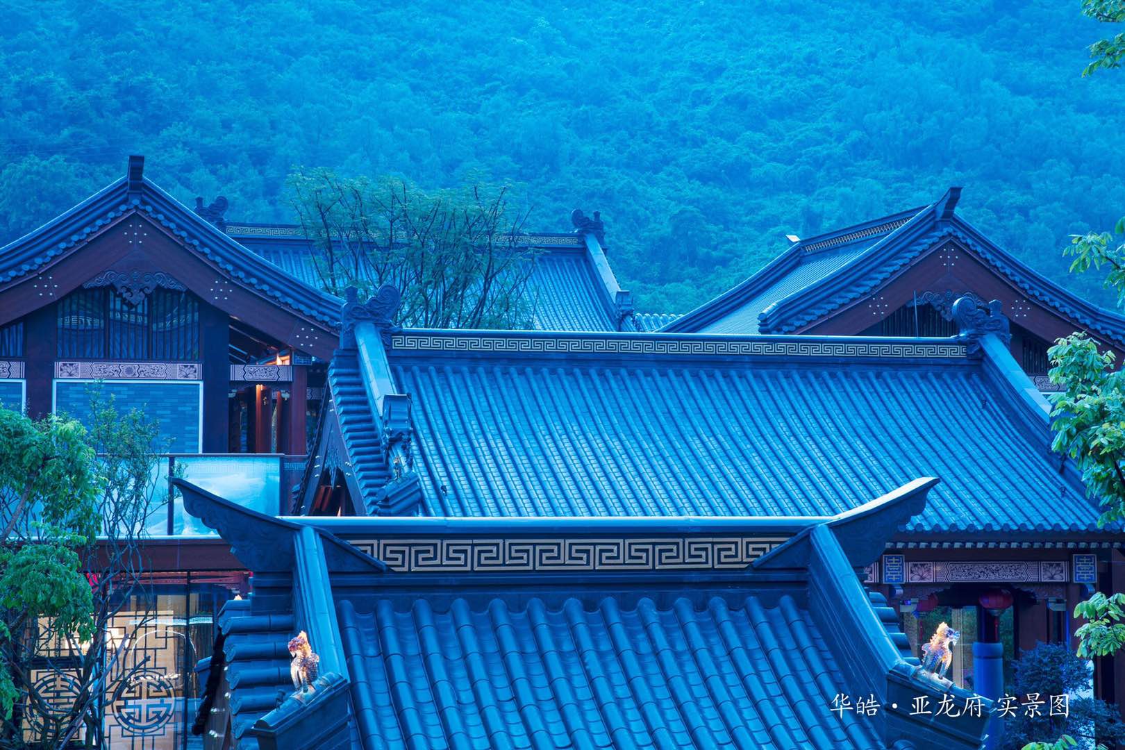 实景图9
