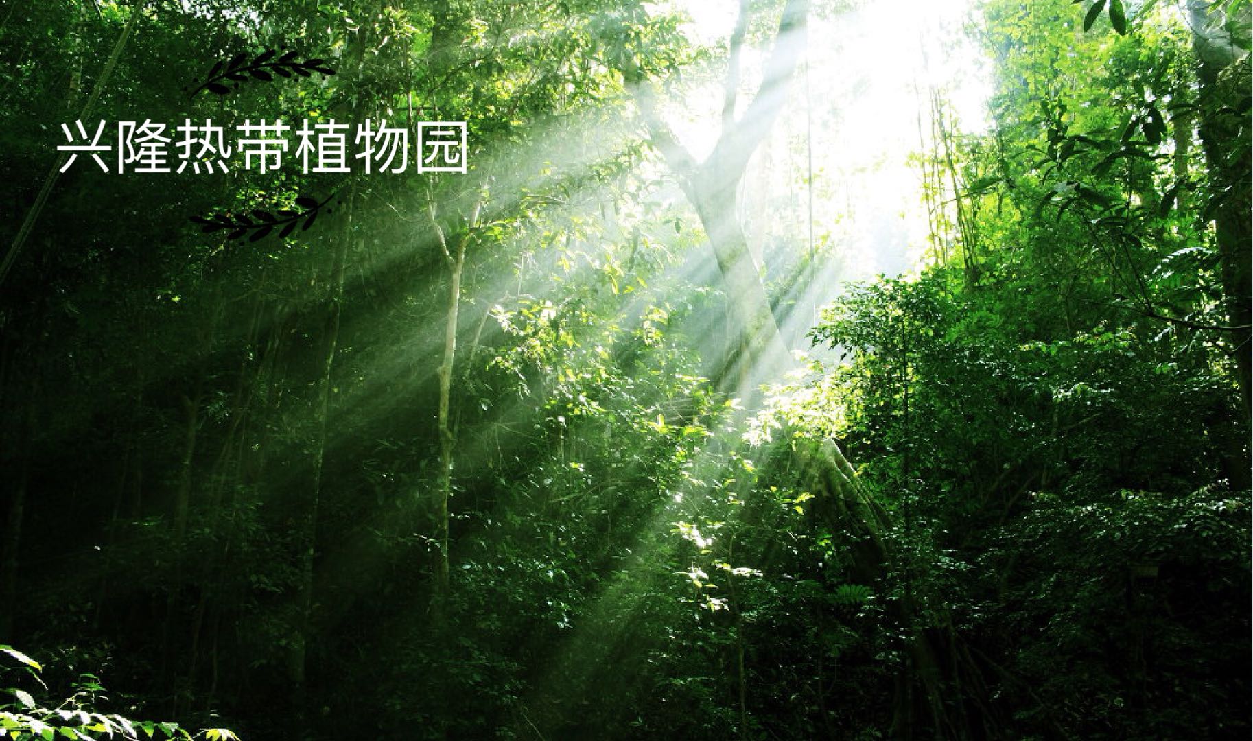 配套图